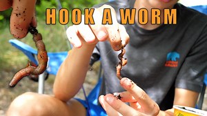 WILDsides: How to Hook a Worm