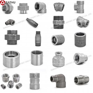 [Hot Item] Threaded /Socket Welding Forged Ss Stainless/CS Carbon Steel High Pressure Pipe Fittings