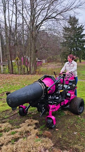 16K views · 1.1K reactions |  NOT AI, She always wanted a PINK Toro Grandstand Multi Force so I change the color during editing. 藍 @thetorocompany Partner  | Spencer Lawn Care & Life | Facebook