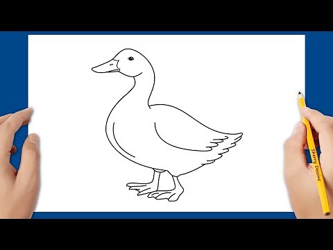 Comment dessiner un canard