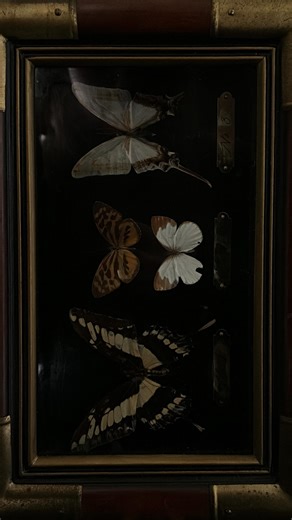 Emma Fox on Instagram: "Pt. 04 of the Tudor Edit🍴 Whipping something up in the kitchen — black marble counters, a little drama, and just enough chaos to be fun. Next episode: marble checkered harlequin floors. Consider this your warning😈 Renter friendly kitchen update, dark academia decor, home interiors, contact paper counters diy, home content creator"