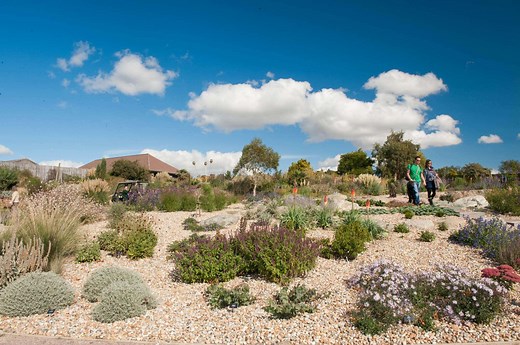 RHS Gardening in a Changing Climate report / RHS