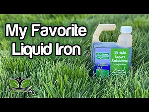 Liquid Iron for Lawns ~ Lawn Energizer