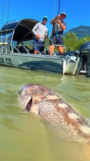 She Gave Her Life So Her Babies Could Live… And We Just Scrolled 💔🐟 #short #shorts #nuralomOfficial