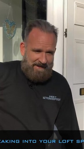 #insecticide #pestcontrol #flies | Pest Interceptors