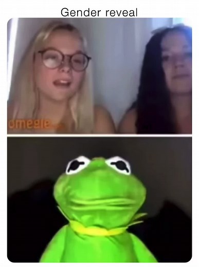 Kermit strikes again🤣#funny #hilarious #memes #kermitthefrog #kermit