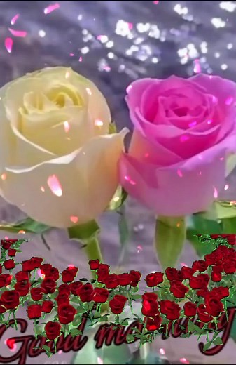 Beautiful Roses in Nature with Animated Petals