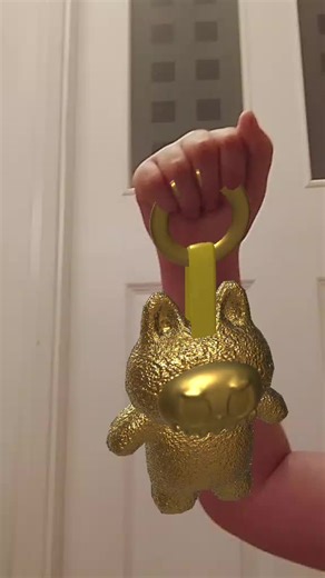 biggest duck fan. on TikTok