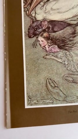 Arthur Rackham Alice in Wonderland Print 1972 | Pool of Tears Illustration | Vintage Book Plate Fairy Tale Art | Nursery Decor - Etsy