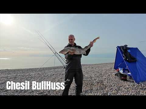 Chesil Bullhuss