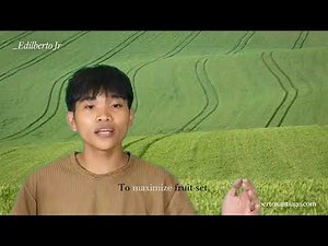 How to Grow Calamansi in Pots 🍋 | Container Gardening for Filipino Homes