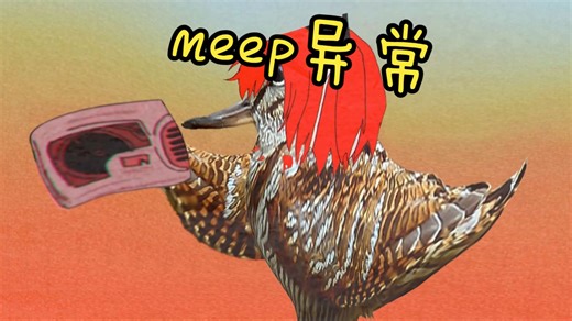 《meep异常》