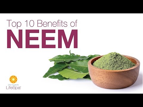 Top 10 Benefits of Neem, Ayurveda's 'Queen of Skin' | Dr. John Douillard's LifeSpa