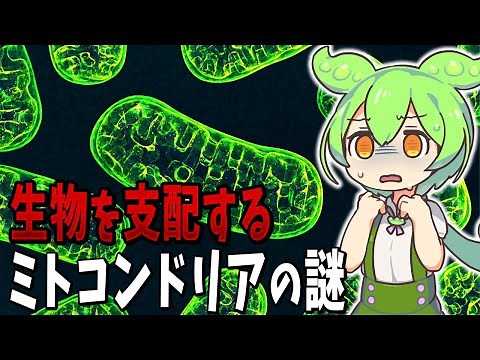 Mitochondria and the origin of eukaryotes [Zundamon explanation]