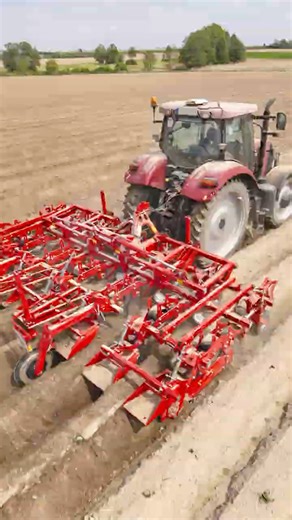 Transform Your Farming: Revolutionary Potato Cultivator Cuts Water Use and Reduces Greening!