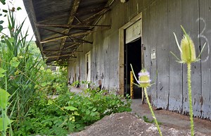 Former paper mill still sits empty