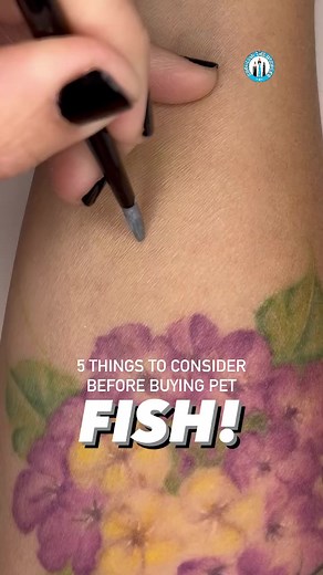 Watch this Tiny Tutorial to learn how to paint a Tiny Fish! 🐠🎨🖌️MY TOOLS: ▫️ FACE PAINT: WolfeFX: black, white, metallic blue, metallic silver, light blue▫️ BRUSHES: Body Color Cosmetics Stiletto Round Brushes #2, #4 & #6 🤓 Save this Doodle & Follow me for more Tiny Tutorials!#carolinathedoodler #tinytutorials #facepaint #cheekart #facepainter #facepainting #armpainting #bodyart #lefthanded #soothingart #satisfyingart #arttherapy #fish #petfish #fishtank #fishart #fishfriends #fishies #fisha