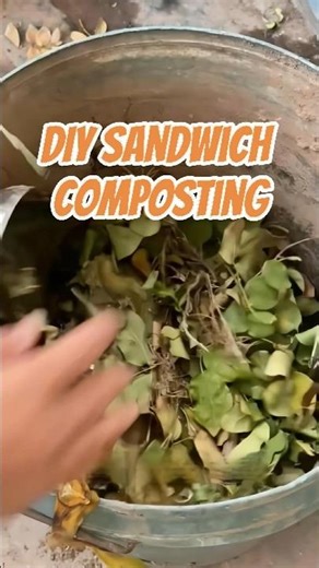 Never Buy Potting Soil Again! DIY Sandwich Composting #composting