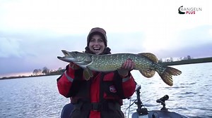 Die 6 besten Hechtköder: Jeder Raubfischangler sollte sie kennen!