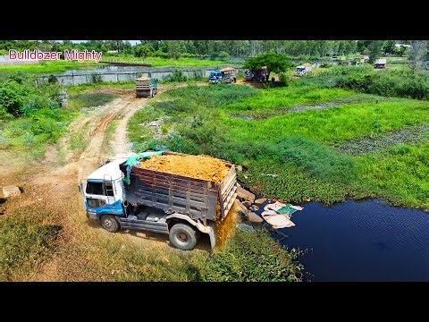 Operator Skills Bulldozer Working, Filling Up The Land, Dump Truck 5 Ton Unloading