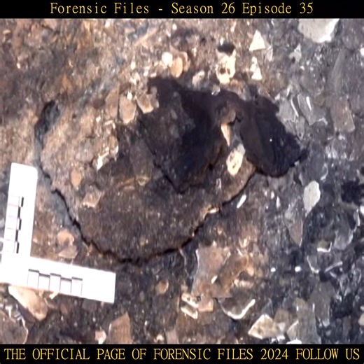 Forensic Files Season 26 Episode 35 Part 2 | Forensic Files 2024