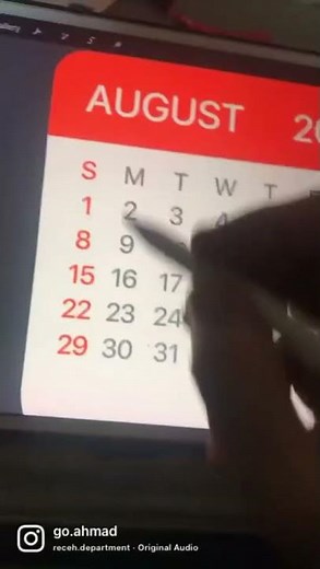 Sunday Monday Tuesday WTF Saturday! #shorts #short