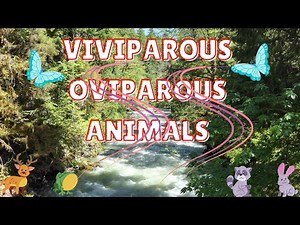 VIVIPAROUS AND OVIPAROUS ANIMALS