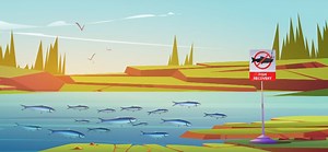 Do fish have a home? - Science Journal for Kids and Teens