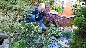 Dad transforms garden into stunning Japanese paradise