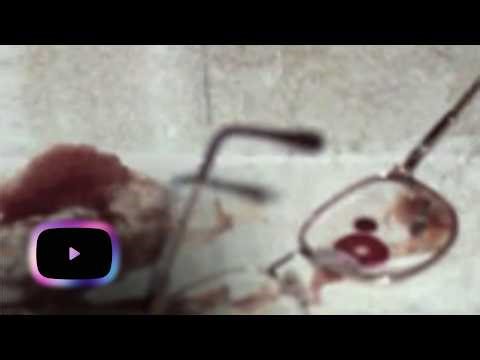 The Cold Case of the Millionaire’s Fianceé | Targeted For Murder | S1 Ep26