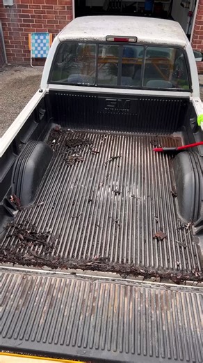 Essential Car Washing and Detailing Tips