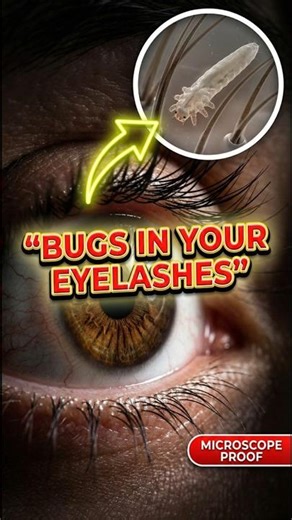 Do eyelash mites actually clean your eyes? (microscope test) #shorts