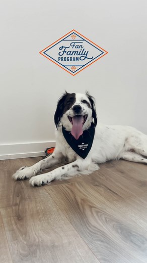 211K views · 511 reactions | If your pet loves Diamond Pet Foods,...