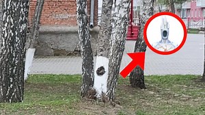 Rule 386 / Is That Minos Prime | Know Your Meme