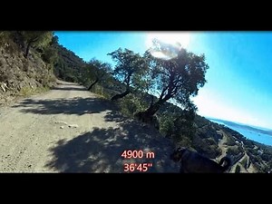 Virtual Run 11K 8 kph Saint Tropez FRANCE