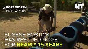 218K views · 69 reactions | Adorable "dog train" takes puppies out for a ride | NowThis | Facebook