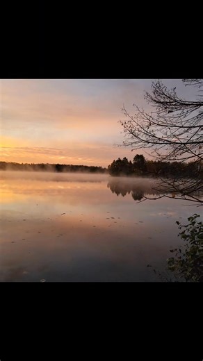 5.5K views · 221 reactions | Waking up to a completely empty resort for the first time in about 156 days. It's so.......QUIET! | Island View Lodge | Facebook