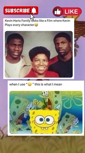 Snoopy's Daily Dose of Memes