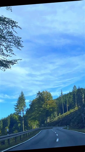 Gelber Tee ✔️ Grüner Tee aromatisiert ✔️ Früchtetee 🍎 🍐 🍌 🍊 klar haben wir ✔️ Weißen Tee - auch diese Teesorte bekommst du bei uns! Teesorte steht für Frische und Qualität! #gelberTee #kekecha #grüntee #früchtetee #paimutan