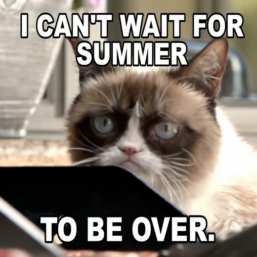 Grumpy Cat In Cat Summer Teaser!