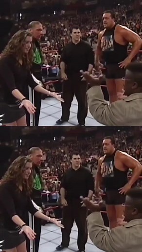 #therock #tripleh #bigshow #shanemacmahon #stephaniemcmahon #attitudeera #rawiswar #wwefan