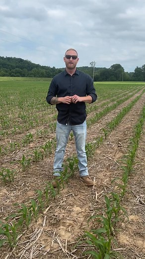 Post herbicide application is one of the most stressful things we do to the crop every year. While it’s necessary, herbicide hangover isn’t. Cody explains the cost of slowing the crop’s growth and how to avoid it. www.empoweringfarmers.com | MY YIELD