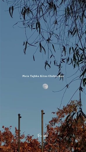 Soch Na Sake – Arijit Singh | Airlift (2016) ❤️✨#SochNaSake #ArijitSingh #AmaalMallik #Airlift