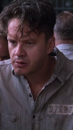 Tim Robbins (as Andy Dufresne) and Morgan Freeman (as Ellis ‘Red’ Redding) delivered the performances that made The Shawshank Redemption legendary. Robbins embodies Andy with strength, patience, and intelligence, while Freeman brings warmth and depth to Red, serving as the audience’s emotional anchor. Together, they make the friendship between Andy and Red the heart of the film and elevate the prison escape story into a timeless tale of hope and human dignity.