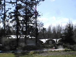 Tree Cutting Accident Tree Falls on Roof