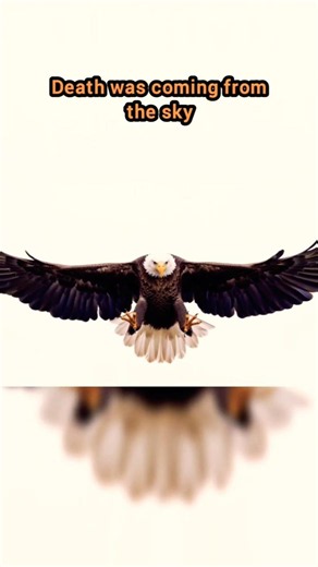 Death From The Sky! 🦅 Eagle's Deadly Vision Explained 😱 #facts #eagle #animals #wildanimals #shorts