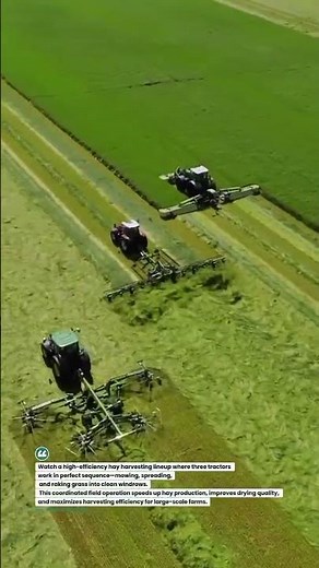 Triple Tractor Hay Harvest System in Action 🚜🌾 #FarmingTech #HayHarvest #SmartFarming
