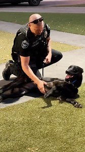 3.9K views · 61 reactions | Last night participants from the Citizens Academy took a tour of the K9 Facility. After learning how this facility helps the community and police agencies all around with K9 training, they got to meet the dogs up close and saw some top-tier training demonstrations. All of our K9s and handlers were there to discuss all things police dog related. It was a very fun and informative night! | City of Fontana Police Department | Facebook