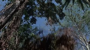 Predator.1987.DVD5.720p.BluRay.x264-DON.Vie