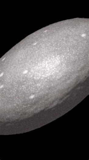 Haumea (Dwarf Planet) : เฮาเมีย (ดาวเคราะห์แคระ) #QueenKlearmilly8888👑🇹🇭 #Thailand2026🇹🇭